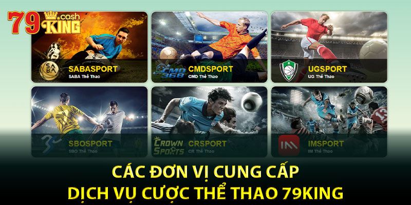 Các đơn vị cung cấp dịch vụ cược thể thao 79King