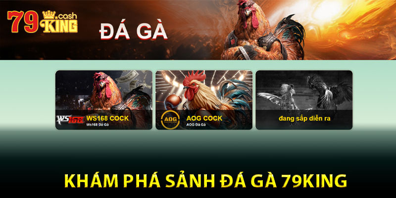 Khám phá sảnh đá gà 79King