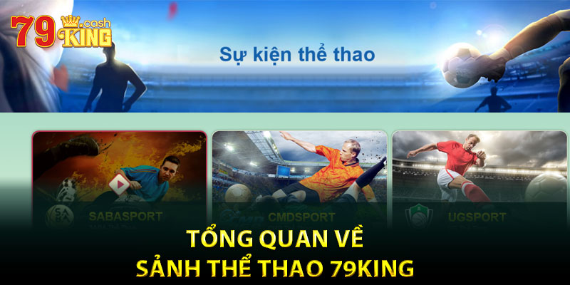 Tổng quan về sảnh thể thao 79King